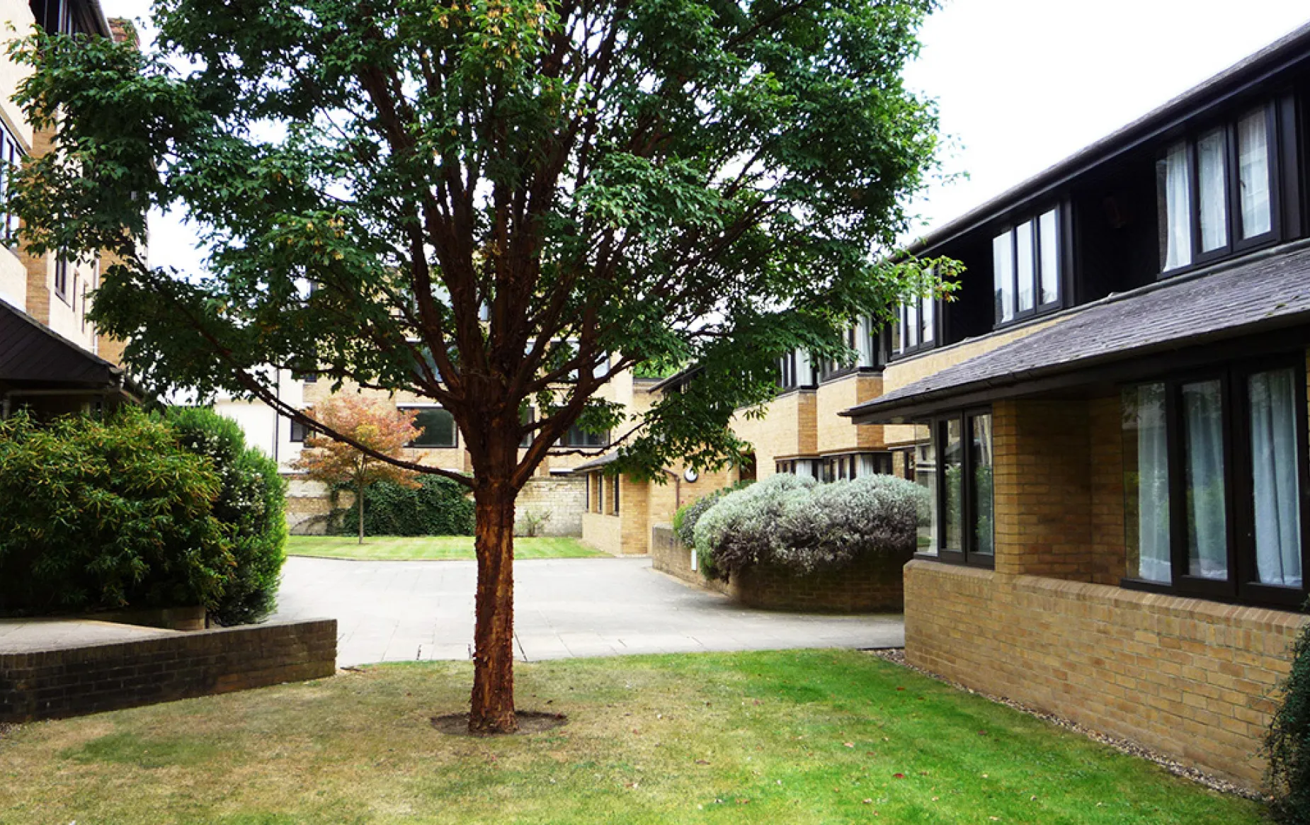 St Aldate's quad