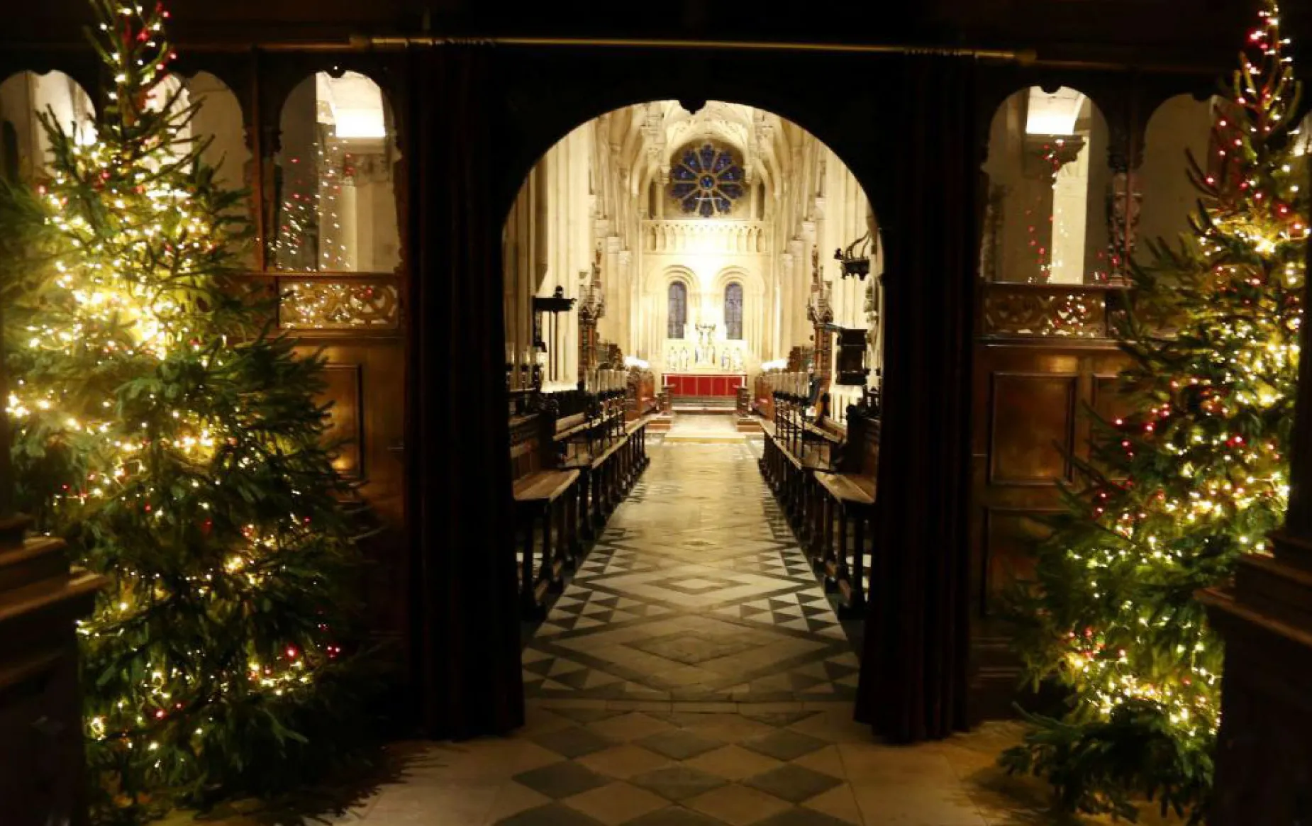 Christmas trees framing the view down the knave