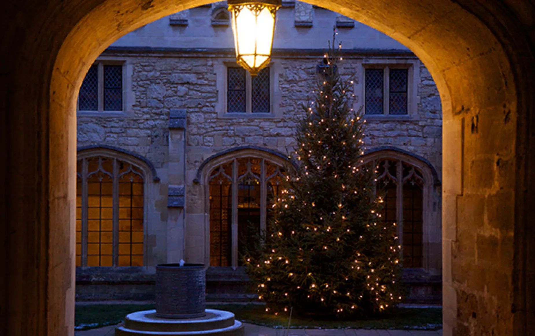 Christmas Tree in Cloister