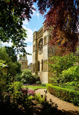 The Cathedral grounds