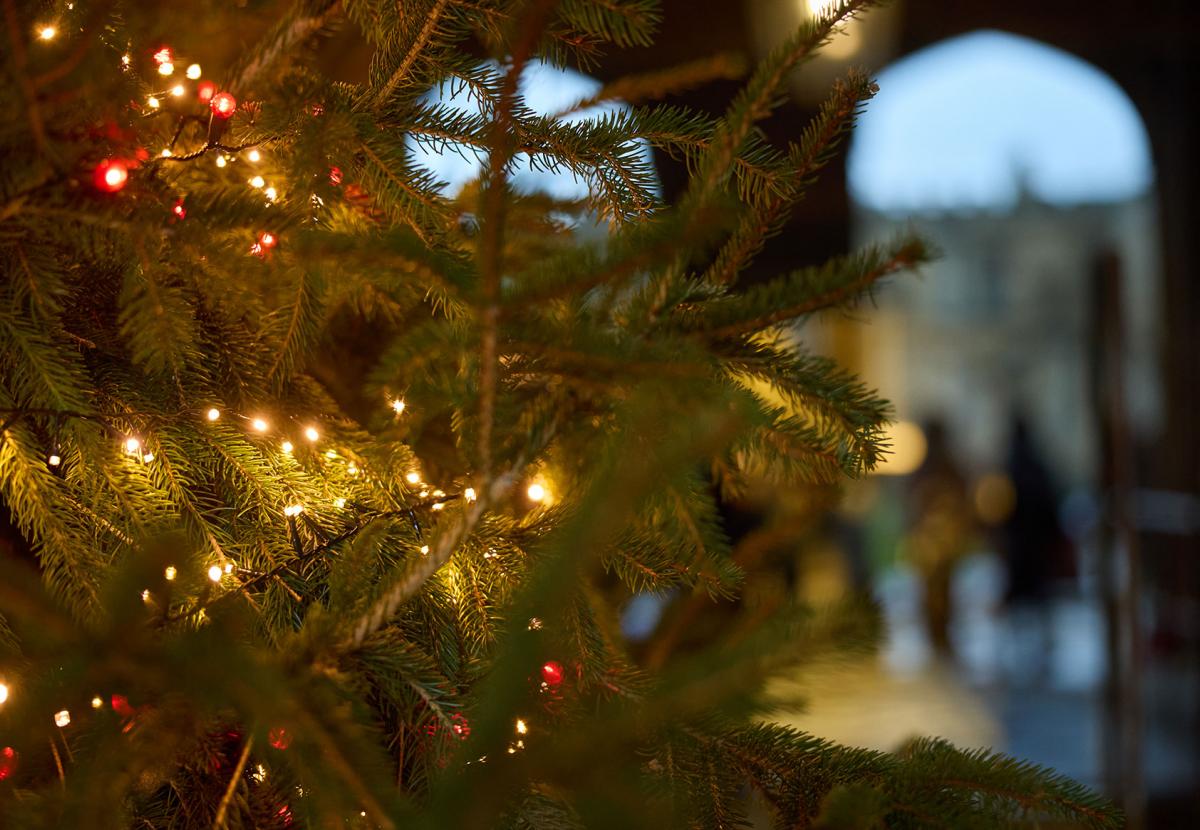 Close-up detail of Christmas tree in the Cathedral entrance