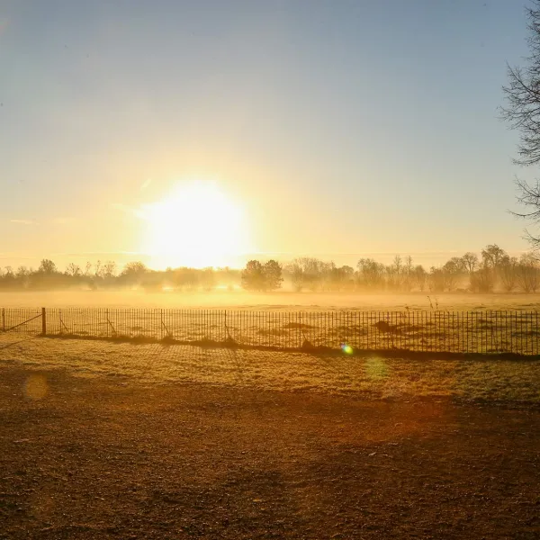 Winter sunrise over the Meadow